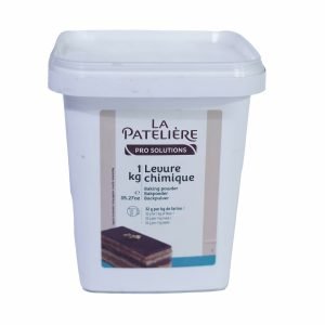 Levure chimique la pateliere 1Kg