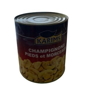 Champinions Pied et morceaux